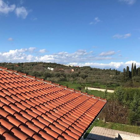 Room In Studio - Studio Banos Apartments And Swimming Pool Ρόδα Εξωτερικό φωτογραφία